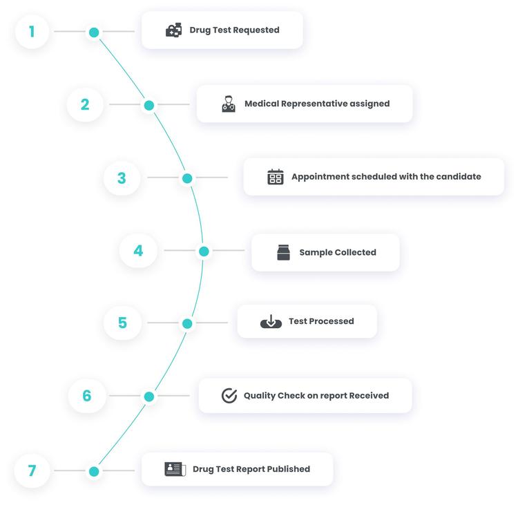 Drug Testing Process Flowchart Drug Test Background Check: Ensure Workplace Safety