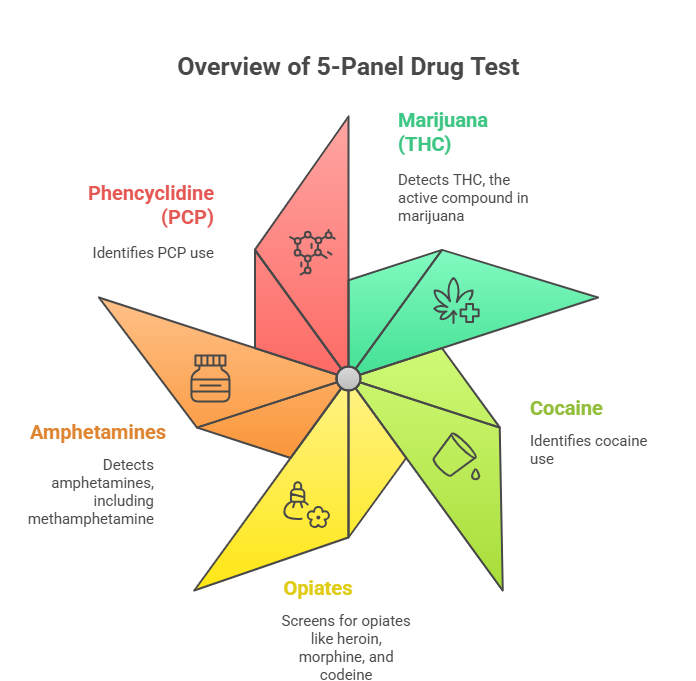 An infographic listing five commonly abused drugs included in a 5-panel drug test: Marijuana, Cocaine, Opiates, Amphetamines, and Phencyclidine, with brief descriptions and icons for each drug.