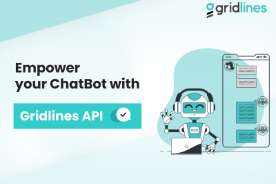Revolutionizing Onboarding and Verification: Empower Your ChatBot with Gridlines API