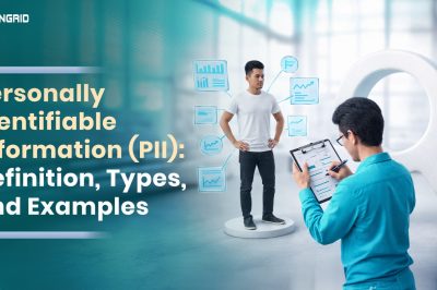 Personally Identifiable Information (PII): Definition, Types, and Examples
